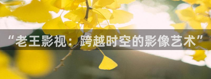 终极笔记星辰影院