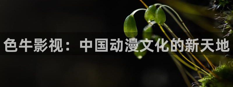 星辰影院在线看电视剧